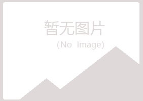 龙山区白山快递有限公司